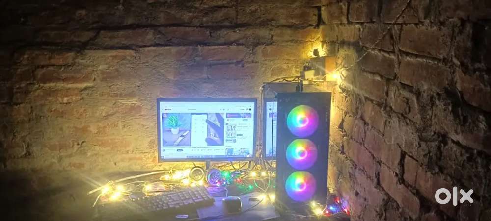 PC seal  1 month old