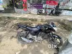 pulsar 135