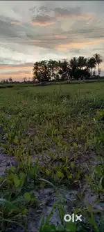 Agriculture land for sale near to mailam temple