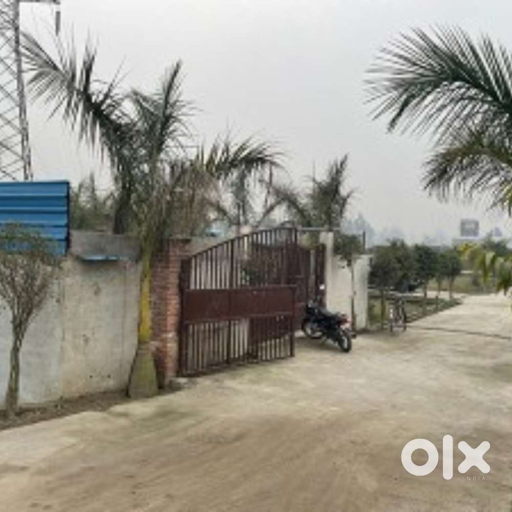 Real Estate Sales Executive (Female)