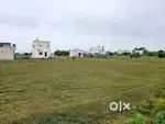 Golden Investment Plot for sale In Potheri