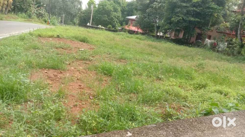 12 cent land for sale in panayil nooranad price 3 lakhs per cent
