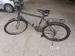 Black colour cycle