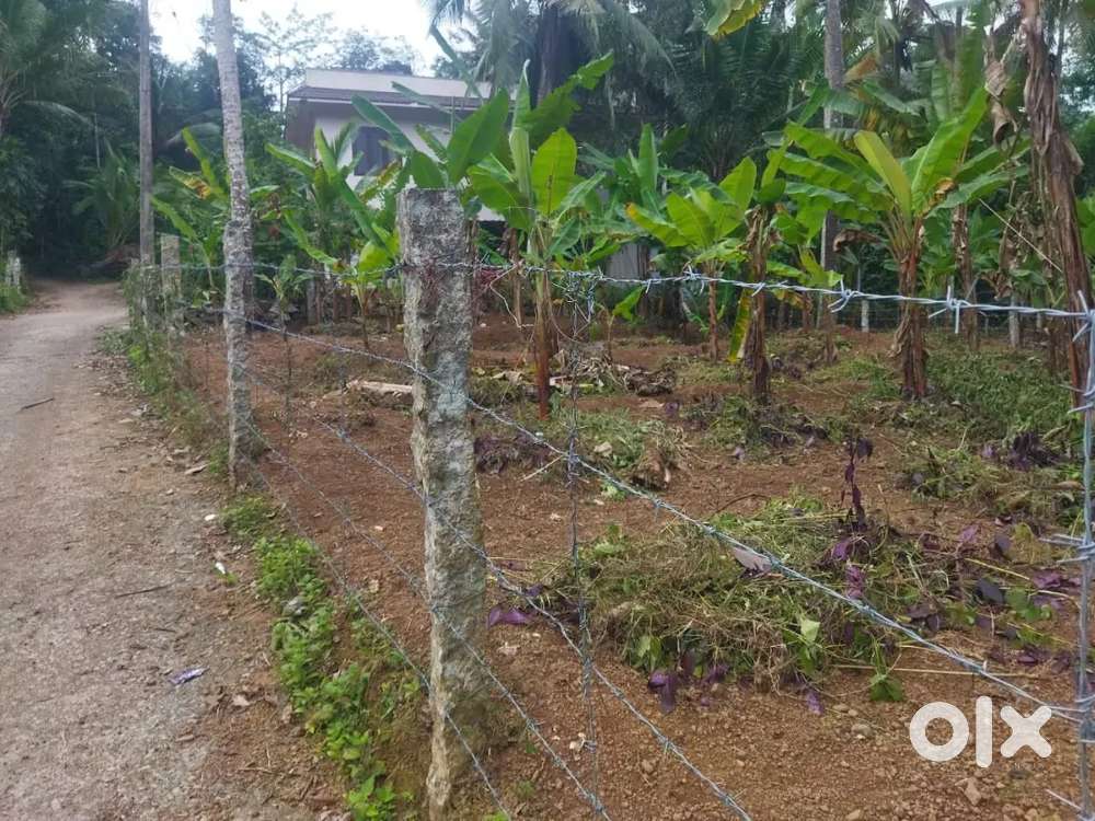 7 cent Plot for sale at Kuttichal, Paruthipalli