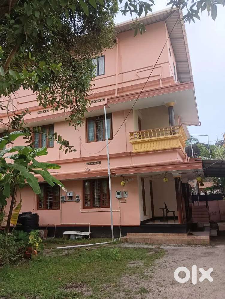 Ladies Hostel with Food panampilly Nagar