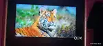 Lg Tv 50 inch