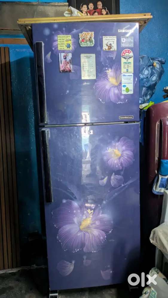 Samsung Convertible Refrigerator, which offers flexible storage.