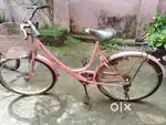 Miss india gold