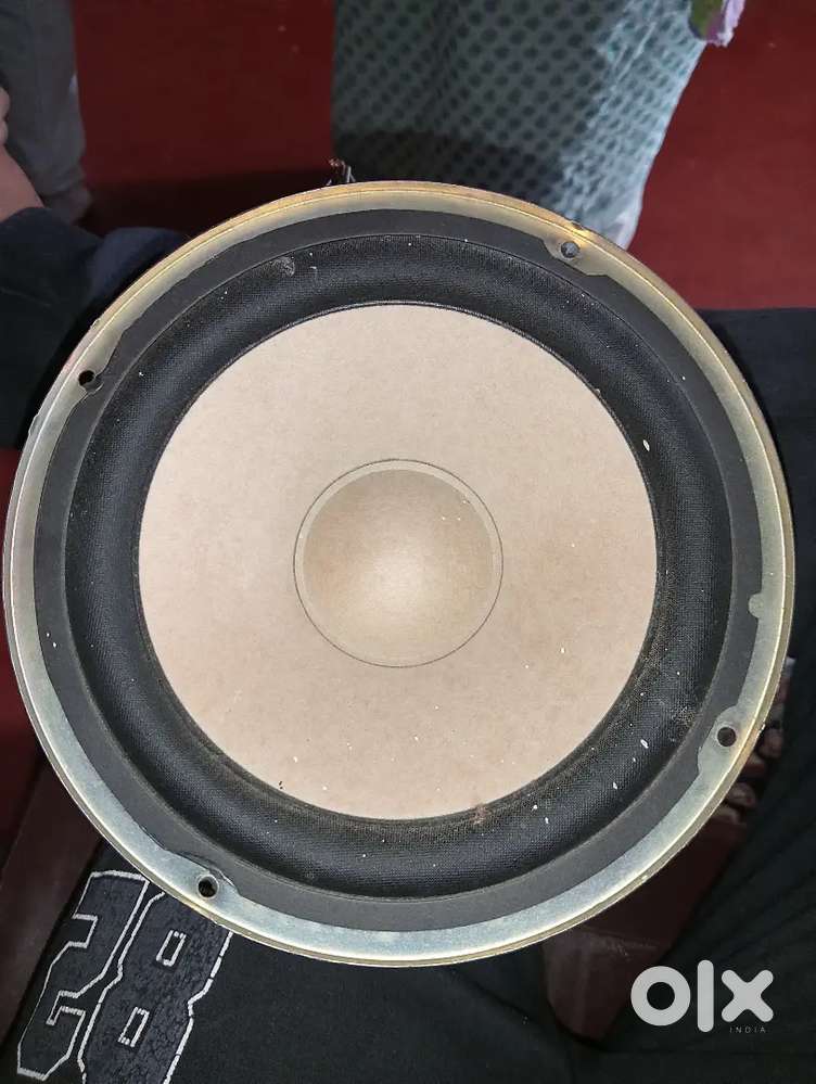Subwoofer (8 inch)