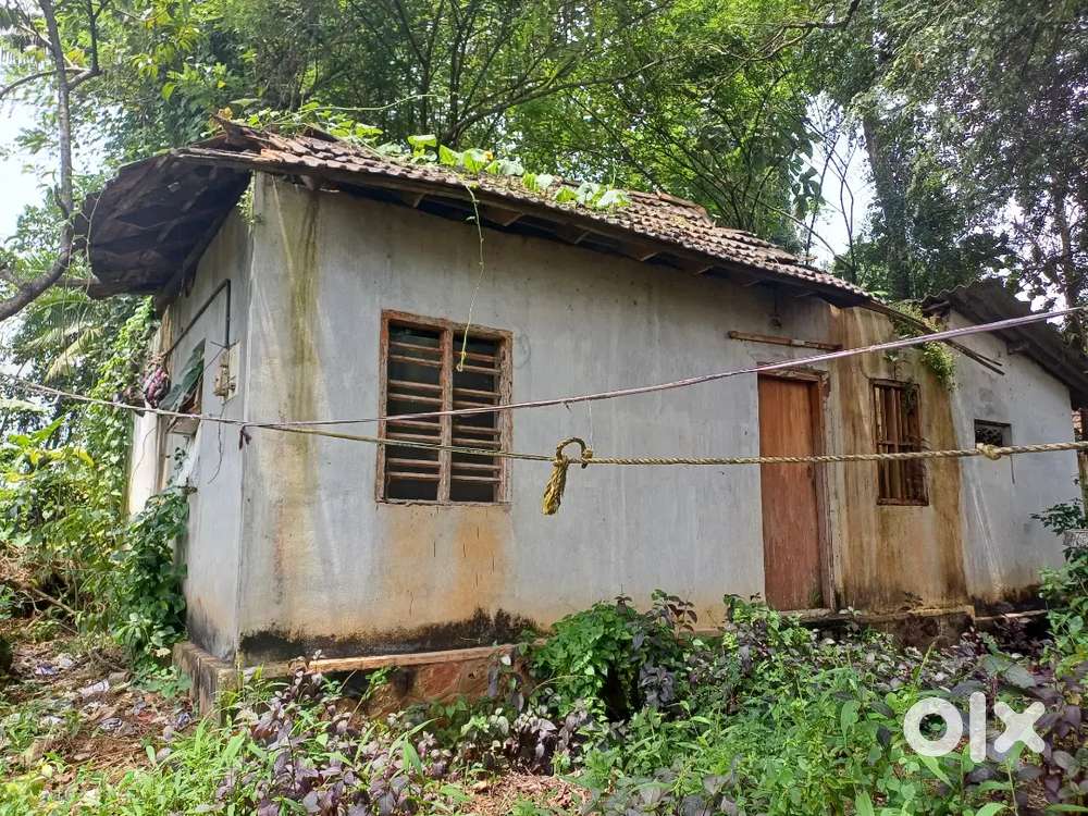 Residential plot for sale at Enath Adoor. Rs. 2 Lac per cent