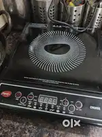 Brand new pigeon induction *fix price*