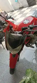 Pulsar 135LS