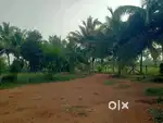 1 acre farm land sale in karuvalur