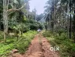 3 Acres of Enchanting Paradise in Chithragiri, Wayanad