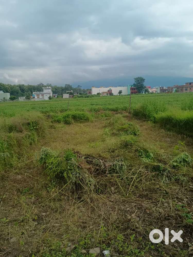 Land for sale 1000 square feet plot