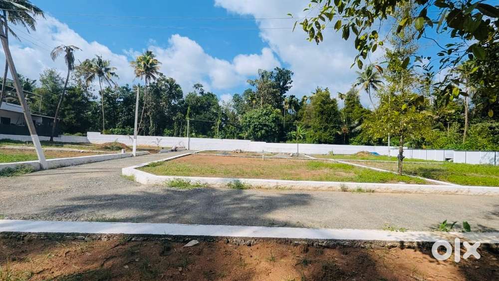 Angamaly–Karukutty Apollo Hospital  5–10 Cent Plots in Mambra