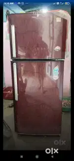 Godrej duble door