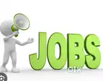 Housemaid / Cook Needed (Full-Time)