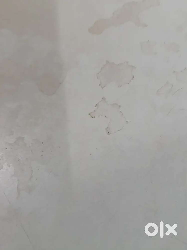 Single room for rent