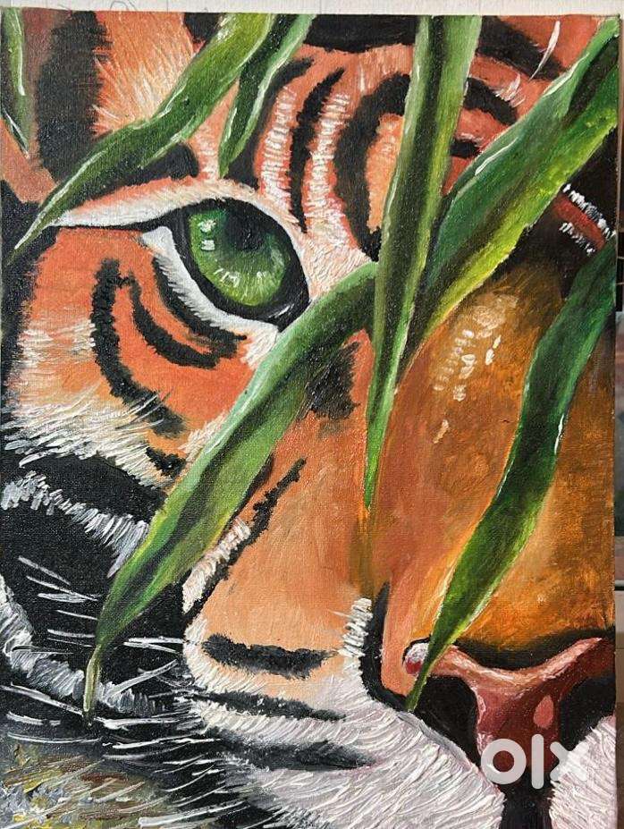 Tiger In The Shadows
