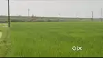 Agriculture land on sharda Ring Road 300 mtr from birla factory.