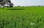 Land, road