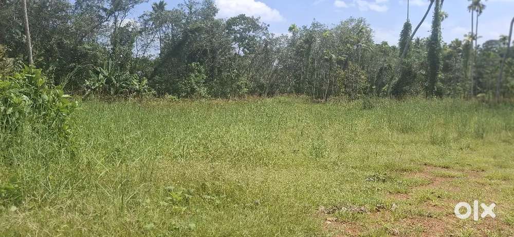 50,25 CENT HOUSE PLOT FOR SALE NEAR KOLENCHERRY