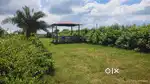 Plot for sale