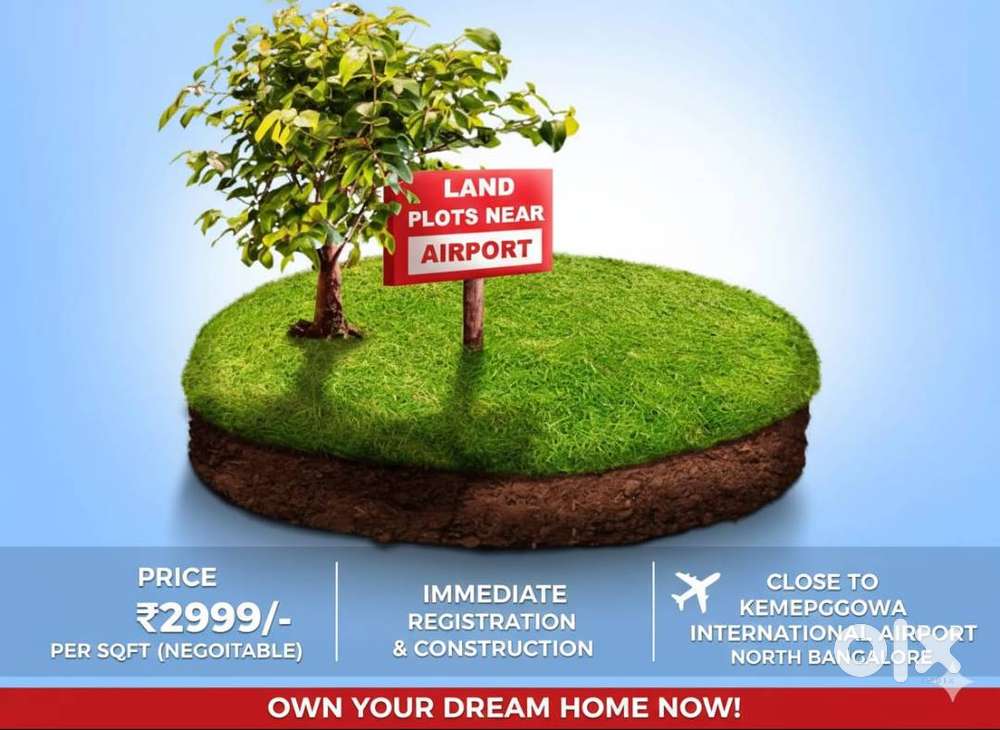 Immediate registration plots available