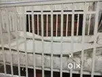 Baby cot furniture