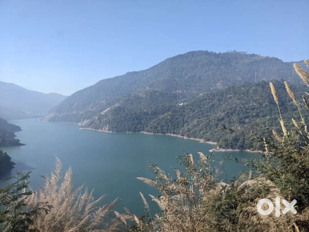 Looking for flatmates