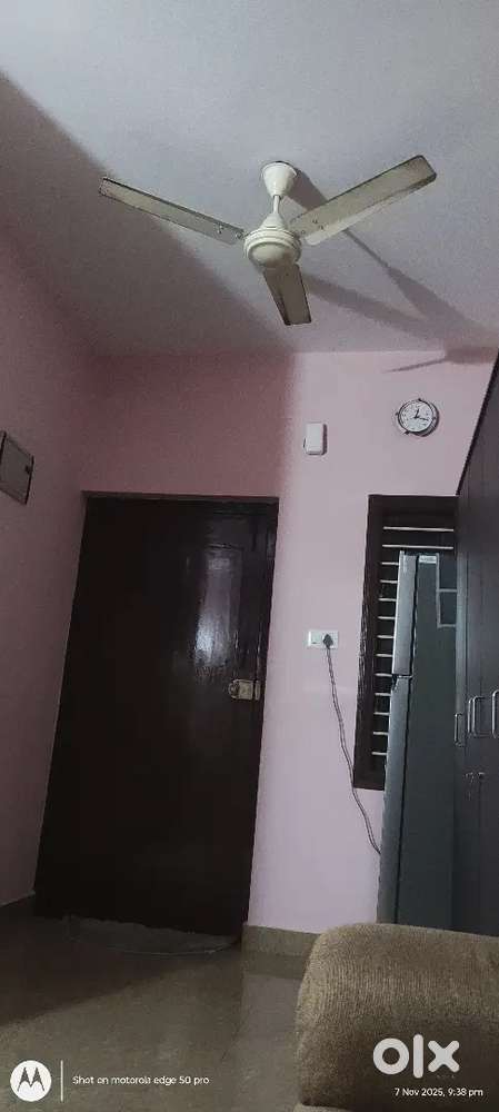 Female room mate required