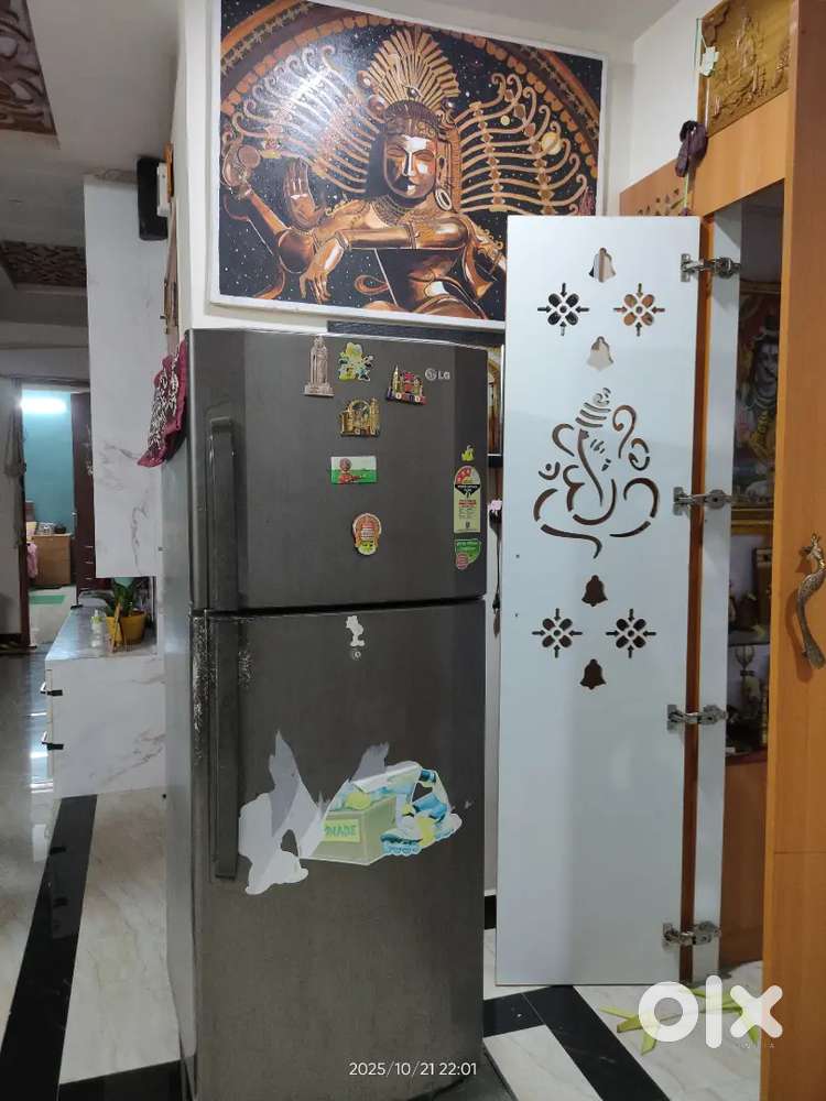 LG Fridge double door