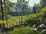5 katha land sell , near dewniya more matigara