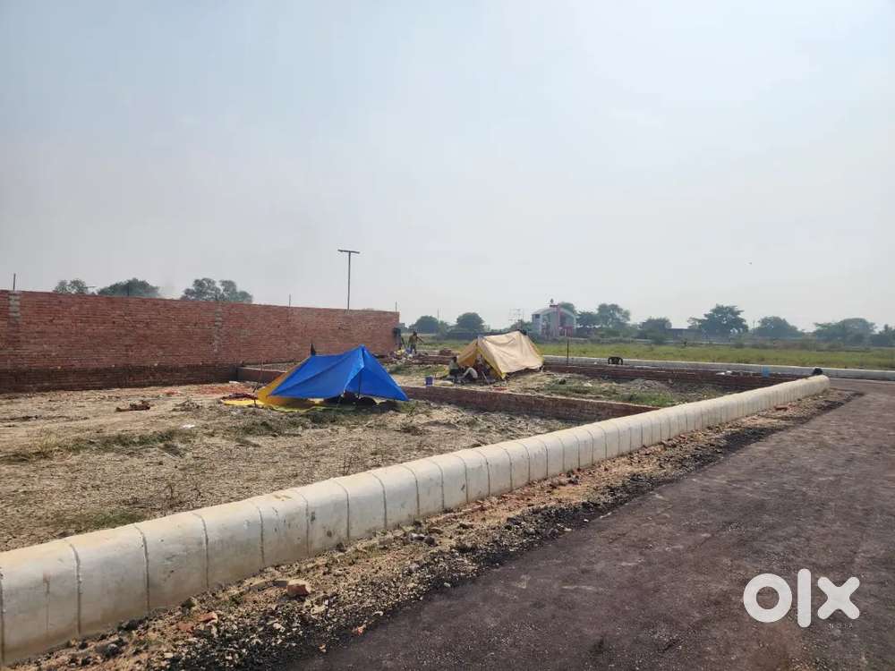 प्लाट ही प्लाट