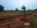 farm land for sale near to main road  very reasonable  prices