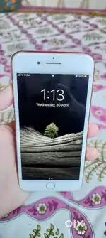 iPhone 7plus