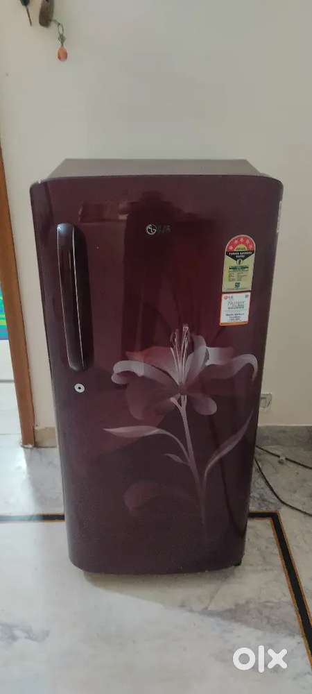 LG 190L 5 Star Refrigerator