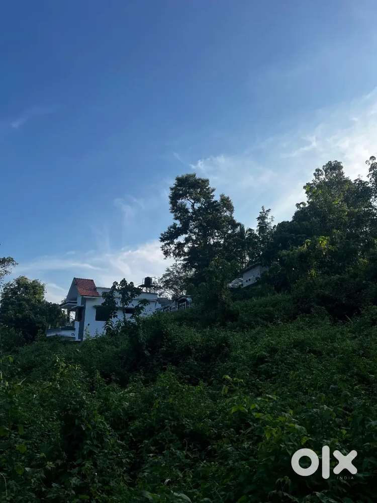 1 ACRE LAND FOR SALE, 1Km From Town PAMDADY KOTTAYAM