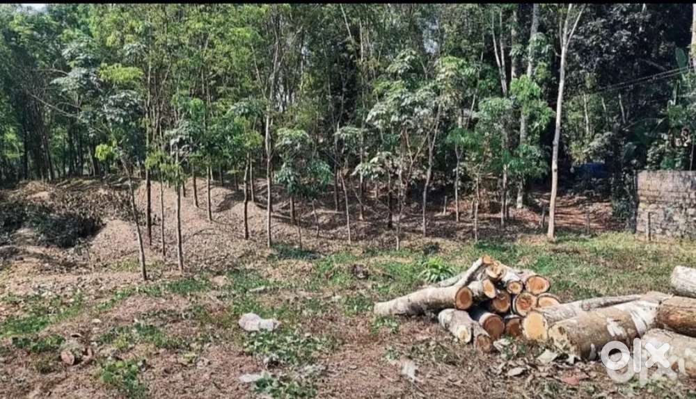 20 cent road side plot for sale
 Urgent sale