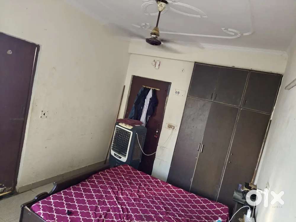 Roommate urgent required