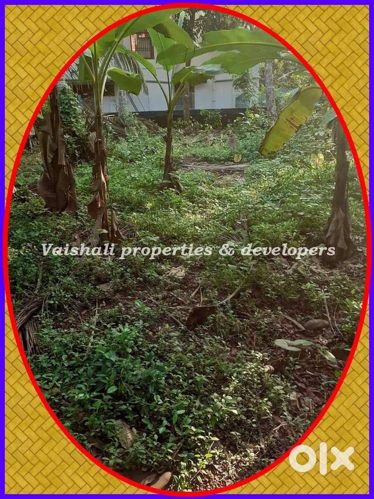 6 cents House plot in Prime Location in near Palakkada, Puthiyangadi