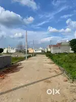 Plot 60 Gaj with loan with cement road