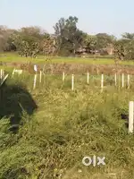 Plot available