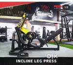 fully commercial gym setup