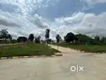 Plots and lands for sell