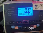 Durafit Panther Multifunction 5.5 HP DC motorised treadmill