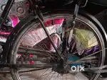 Desi cycle