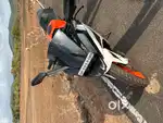 KTM rc 125