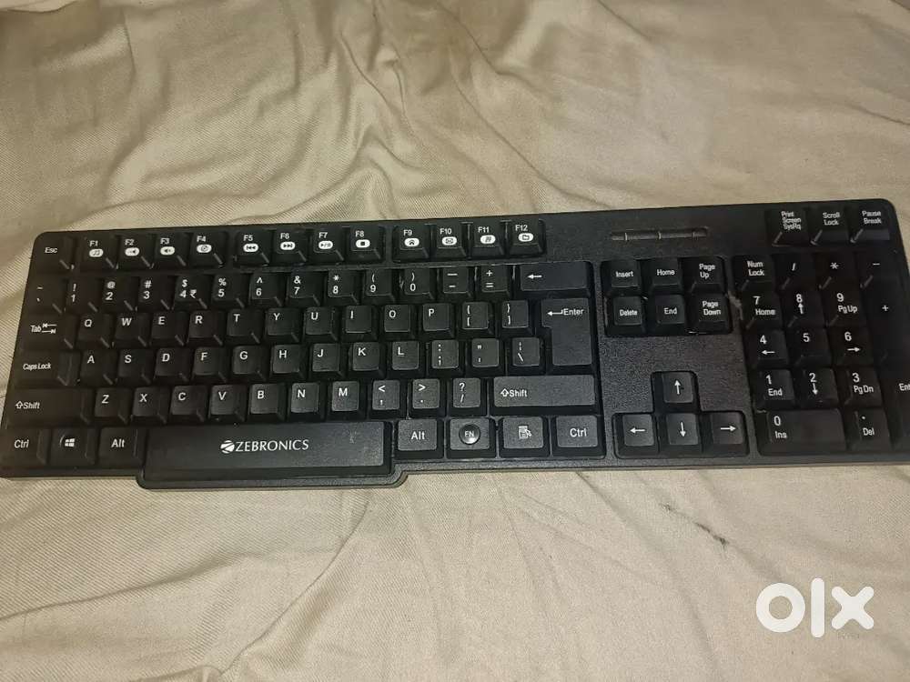 Zebronics keyboard and Nu republic speaker